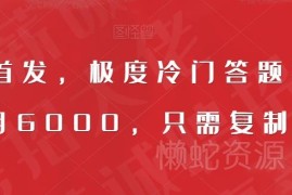 全网首发，极度冷门答题项目，一月6000，只需复制粘贴【揭秘】