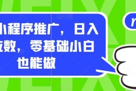 零成本小程序推广赚钱教程 零基础小白可上手轻松日入过千