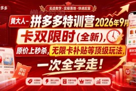 2026年9月黄大人拼多多特训营 全类目运营顶级玩法实操教程