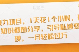知识截图分享低门槛副业：天涯KK资料引流私域变现实操攻略