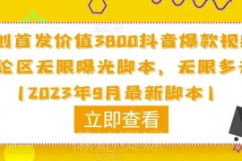 2023年9月最新 网传售价3800元抖音评论区多开曝光引流脚本说明