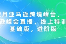 2024年12月亚马逊跨境峰会直播及初进阶特训营课程合集