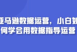 亚马逊数据运营入门攻略 小白如何学会用数据指导运营工作