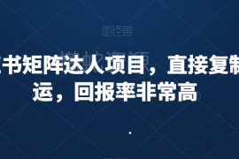 小红书矩阵达人搬运项目实操教程 含养号剪辑涨粉全流程技巧