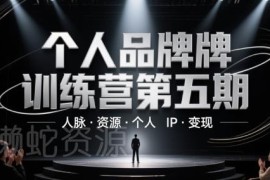 个人品牌训练营第五期 含IP打造人脉拓展及变现实操教程