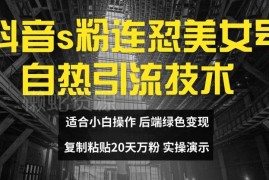 抖音美女号连怼引流实操方法 20天万粉无需实名可矩阵运营