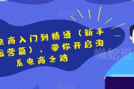 淘系电商从入门到精通课程 新手开店到运营进阶全流程教学
