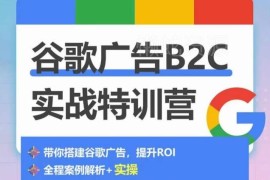 谷歌广告B2C实战教程 500+账户经验教你0-1搭建优化投放账户