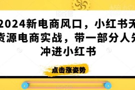 2024小红书无货源电商实操教程 新手开店全流程运营指南