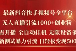 2024抖音快手视频号全平台无人直播引流创业粉实操教程