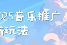 2025新版音乐推广赛道玩法分享 打造个人专属账号风格指南