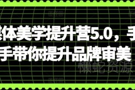 自媒体美学提升营5.0教程 手把手提升品牌审美撬动流量变现
