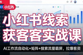 小红书线索获客实战课 AI工作流+矩阵+搜索流量霸屏实操教学