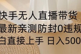 快手无人直播带货0到1落地教学 0粉防封小白可上手实操方法