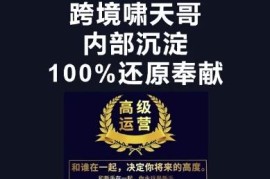 漫威跨境特训营跨境电商教程 选品运营推广全流程实操教学