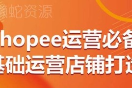 Shopee从0到1店铺运营全指南 站点选品上架规则全覆盖