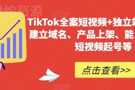 TikTok短视频+独立站全案教程 从0到1实现起号开店全流程