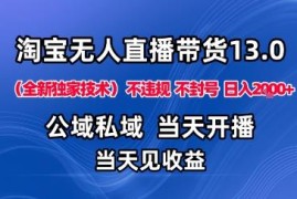 2025淘宝无人直播合规实操方法 低门槛不封号布局旺季赛道
