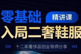 零基础二奢鞋服入行精讲课 12年奢侈品创业导师实操干货分享