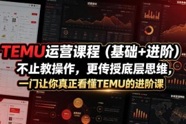 TEMU基础+进阶运营课程 从0搭建盈利店铺掌握运营核心思维
