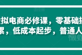 零基础淘系虚拟电商运营教程 普通人低成本起步完成原始积累