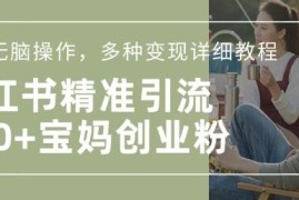 小红书混剪日引200+宝妈创业粉教程 附多元变现实操玩法