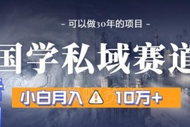 国学私域赛道实操玩法拆解 小白可落地引流转化全流程指南