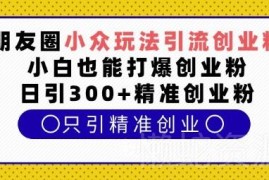 朋友圈引流创业粉小众玩法拆解 小白也能日引300+精准创业粉
