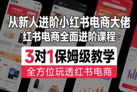 小红书电商入门到精通进阶课程 3对1保姆级全流程教学