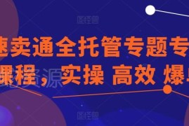 速卖通全托管运营实操专项课程 选品选词发货爆单技巧教程