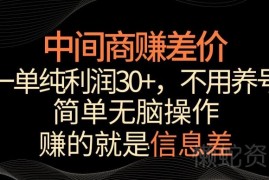 游戏发行人计划信息差玩法拆解 一单纯利30+操作简单易上手
