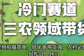 三农领域冷门带货玩法详解 拍摄门槛低转化高适合农村创业者