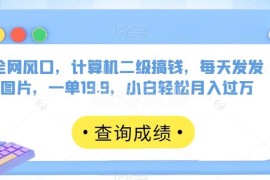计算机二级资料变现项目拆解 小白发图一单19.9易落地实操