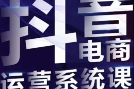 白板抖音直播带货线上课 单品打爆实操玩法全解析