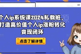 2024个人IP系统私教班 打造涨粉转化变现全链路运营闭环