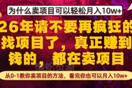 卖项目为什么比做项目赚钱 从0到1卖项目全流程实操指南