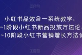 小红书品效合一运营教程 0-10阶段新品投放及营销增长方法论
