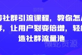 社群引流运营实操课程 从定位搭建到裂变激活全流程教学