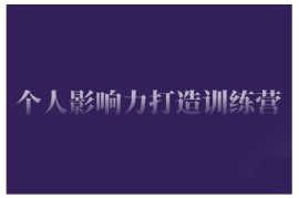 个人影响力打造训练营 从0到1掌握IP打造公域引流私域运营技能