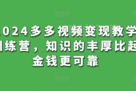 2024多多视频变现教学训练营 从0到1掌握带货全流程实操技巧