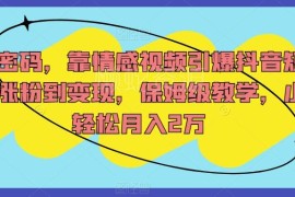 抖音情感短视频从涨粉到变现全流程 小白友好保姆级实操教程