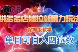 悟空直搜拼多多店铺拉新保姆级教程 扶持期单日收益可达四位数