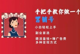 小白短视频创业入门教程 手把手教你做营销号实现日入300+