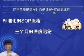 勋哥短视频变现训练营 标准化起号全流程变现实操教学