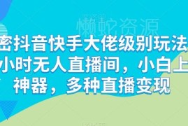 抖音快手24小时无人直播玩法解密 新手可上手的多途径变现教程