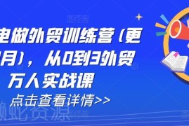 2024年11月更新AI闪电做外贸训练营 从0到3全流程实战课