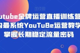 全模块YouTube运营实操教学 从0到1掌握平台流量获取技巧