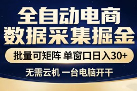 无需云机的电商数据采集副业 单电脑可操作支持批量矩阵布局