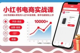 小红书电商实战教程 零基础从零开店到月入过万全攻略