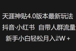 天涯神贴4.0最新玩法 抖音小红书流量变现新手操作教程